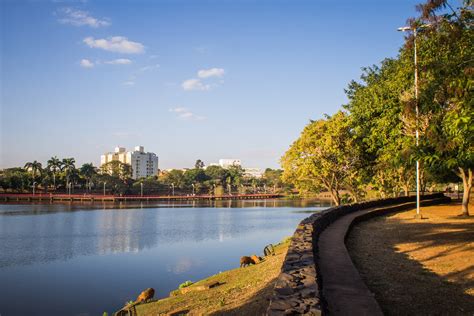 De Olho São José Do Rio Pardo (@deolho019)